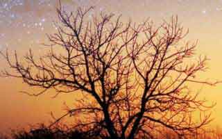 有人看到最后沉默了：91大事件每日大赛的风向扭曲